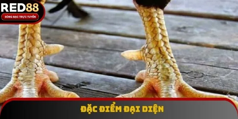 Đặc điểm của vảy gà ngũ quỷ Đặc điểm của vảy gà ngũ quỷ